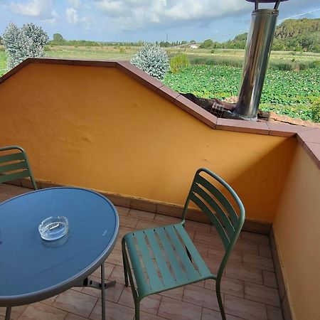 Hotel Cecco Di Nara Massarosa Zewnętrze zdjęcie