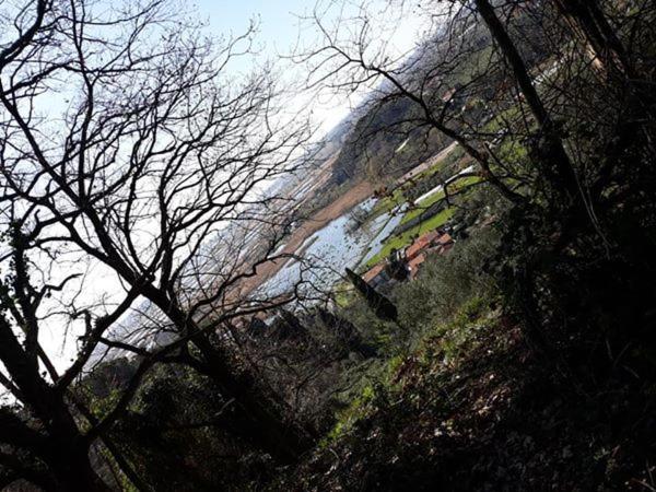 Hotel Cecco Di Nara Massarosa Zewnętrze zdjęcie