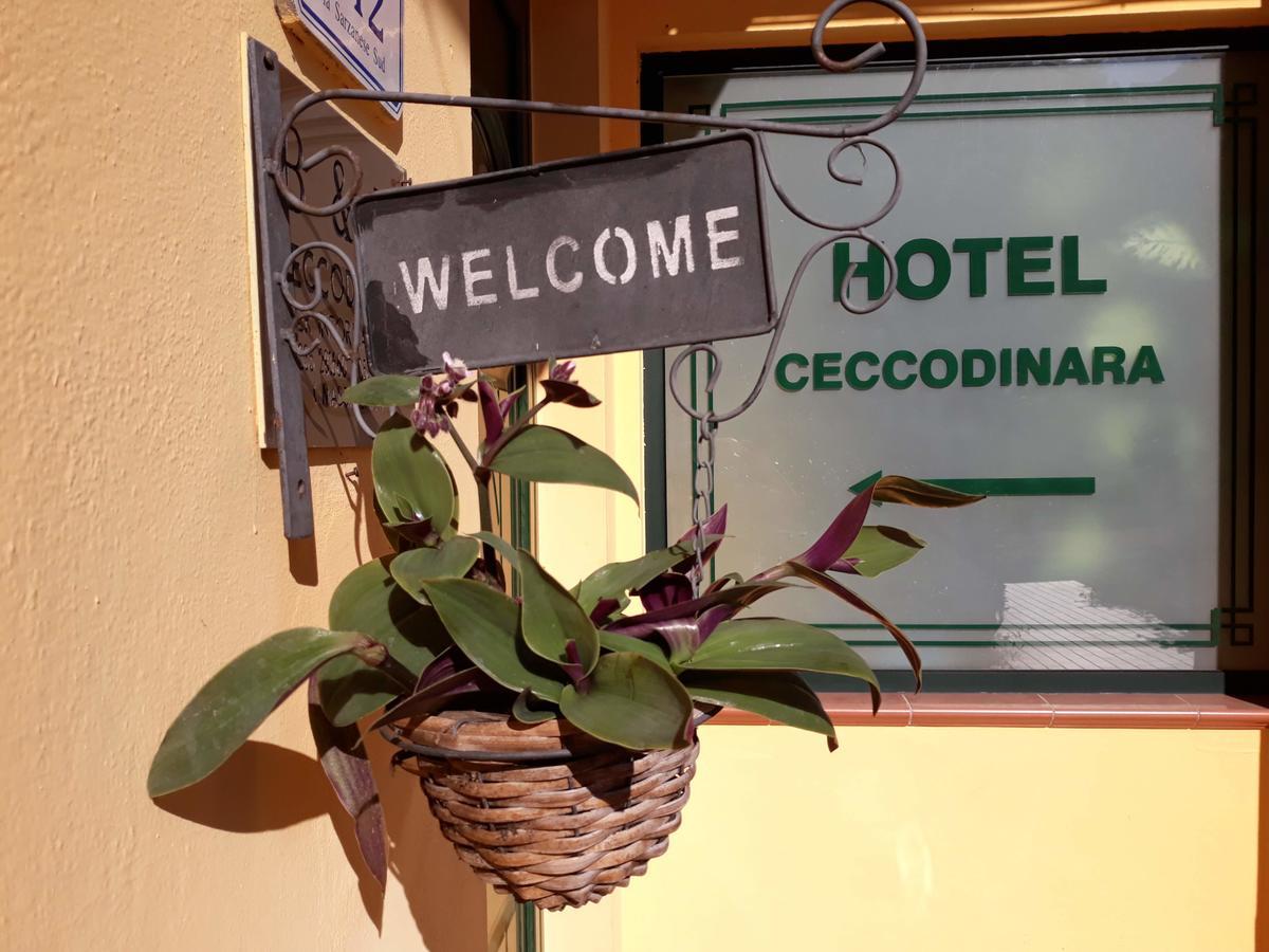 Hotel Cecco Di Nara Massarosa Zewnętrze zdjęcie